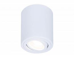 Изображение продукта Потолочный светильник Ambrella light Techno Spot 